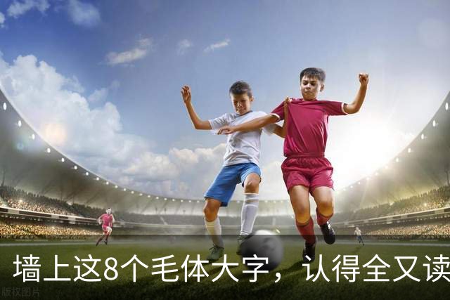 墙上这8个毛体大字，认得全又读得透的，这份功力我由衷佩服！