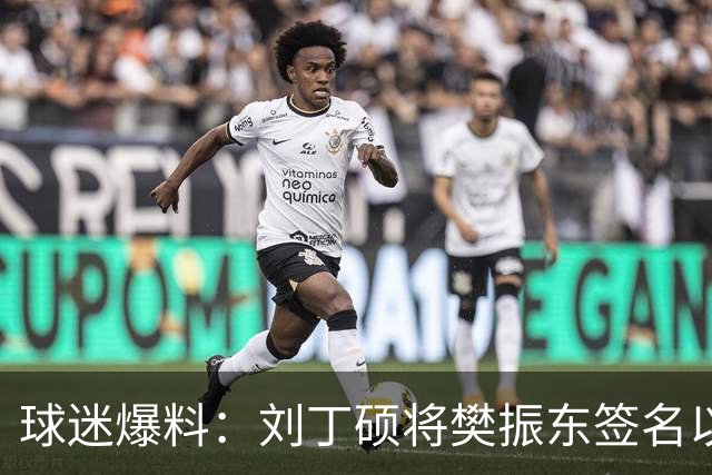 球迷爆料：刘丁硕将樊振东签名以5000一个的价格出售 后者知情后暴怒