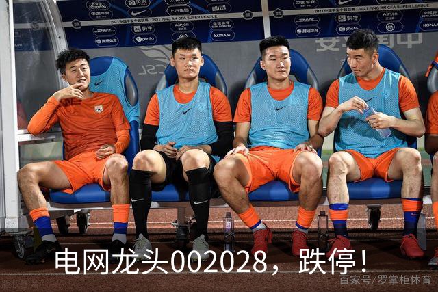电网龙头002028，跌停！