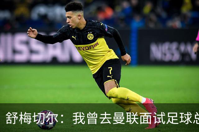 舒梅切尔：我曾去曼联面试足球总监，感觉只是在走过场