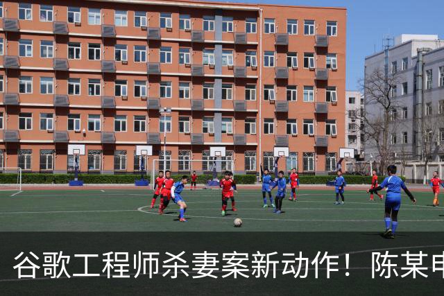 谷歌工程师杀妻案新动作！陈某申请精神病无罪辩护 代价或是终身关精神病院